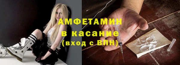 молекула духа Новозыбков