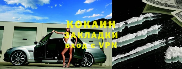 a pvp Алзамай