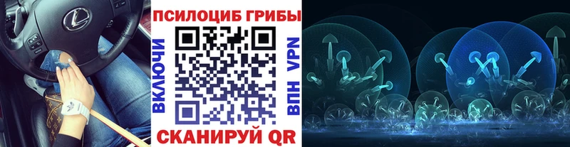 Псилоцибиновые грибы GOLDEN TEACHER  Мамадыш 